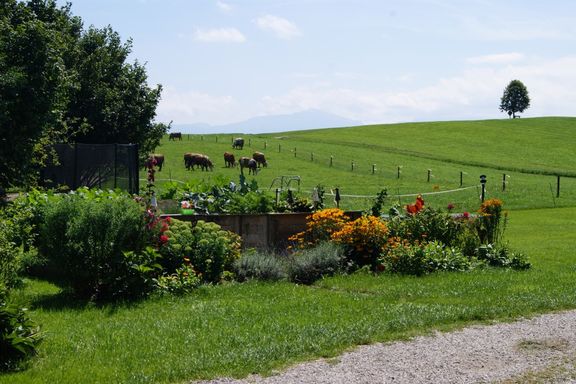 Unser Bauernhof in Seeon am Chiemsee